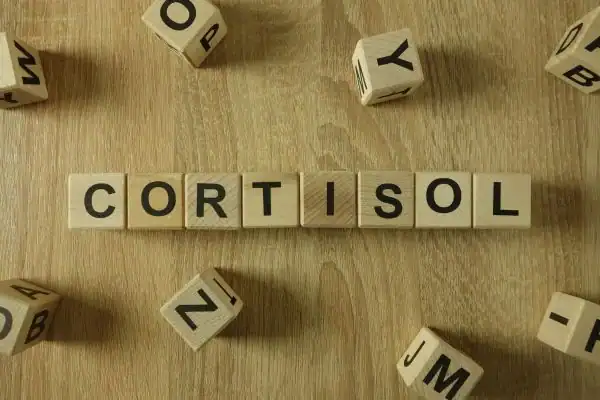 The Hidden Connection: How Stress Shapes Your Fitness and Body Composition 2 Image saying "Cortisol" and how stress Bexleyhill impacts your wellbeing and bodies shape